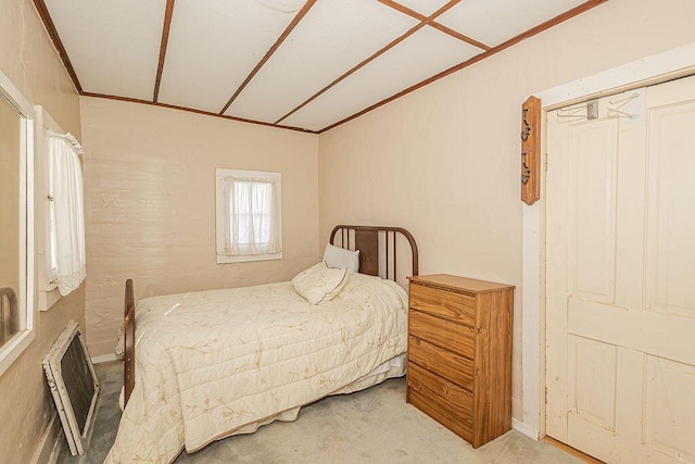 bedroom featuring carpet flooring and a closet