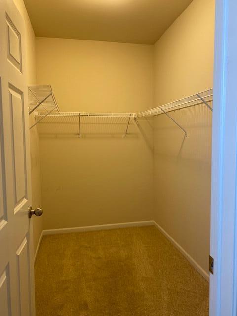 spacious closet with carpet floors