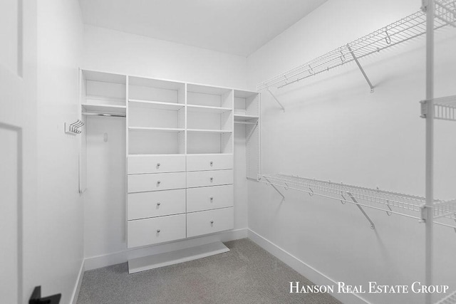 walk in closet featuring carpet floors