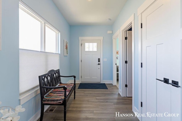 foyer entrance with dark hardwood / wood-style flooring and plenty of natural light