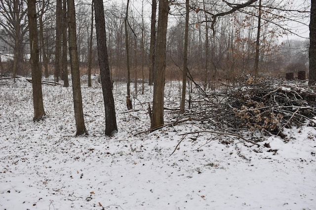 view of snowy landscape