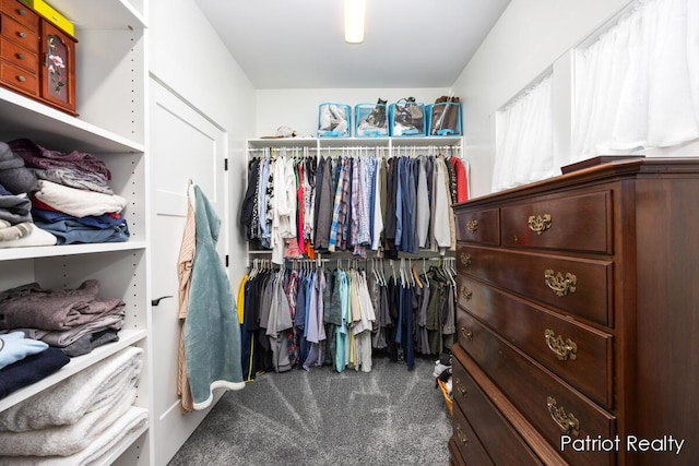 spacious closet with carpet floors