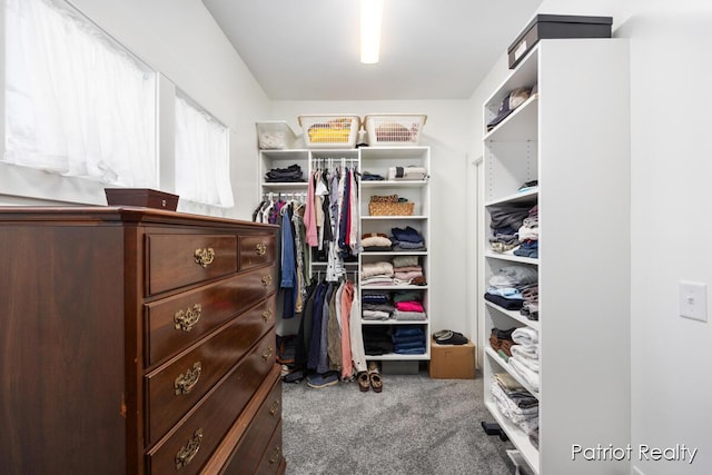 walk in closet with carpet