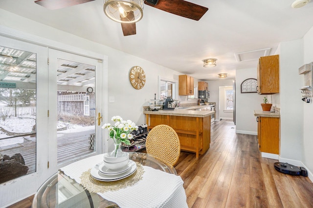 dining room with light hardwood / wood-style floors