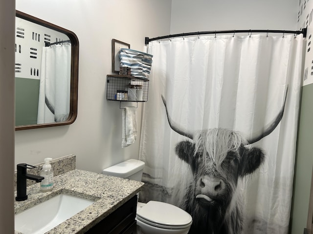 bathroom featuring a shower with curtain, vanity, and toilet