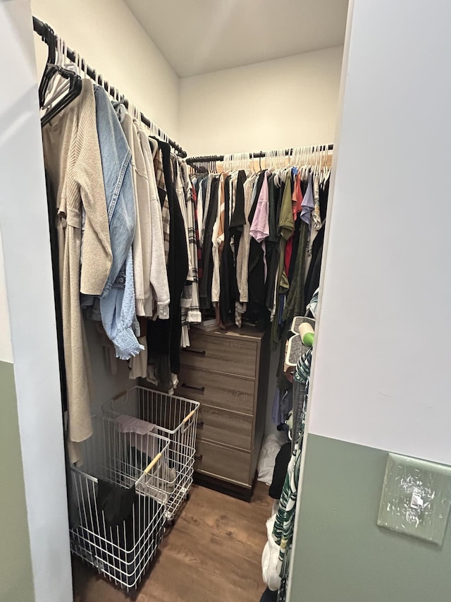 walk in closet with hardwood / wood-style flooring