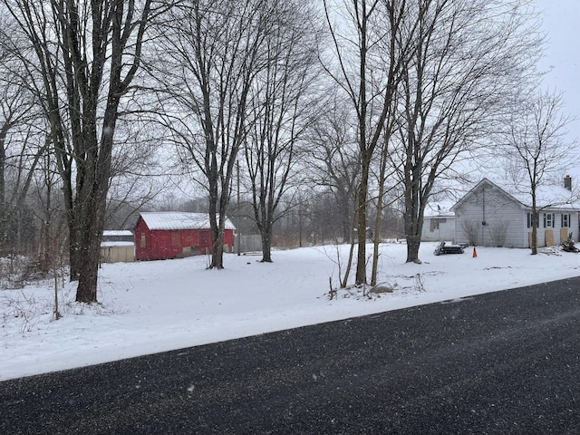 view of yard covered in snow