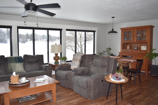 living room with ceiling fan and hardwood / wood-style flooring