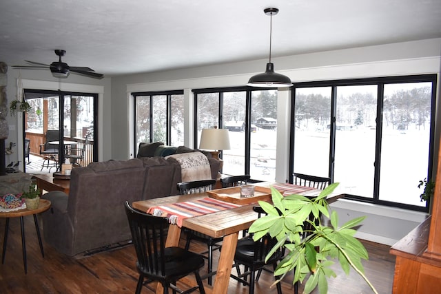 dining area featuring ceiling fan and dark wood-type flooring