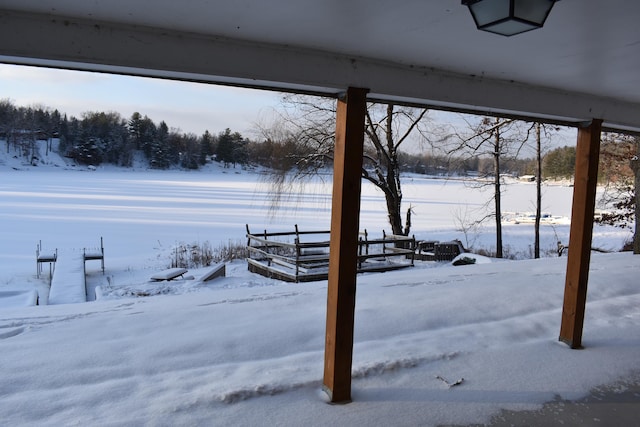 view of yard covered in snow