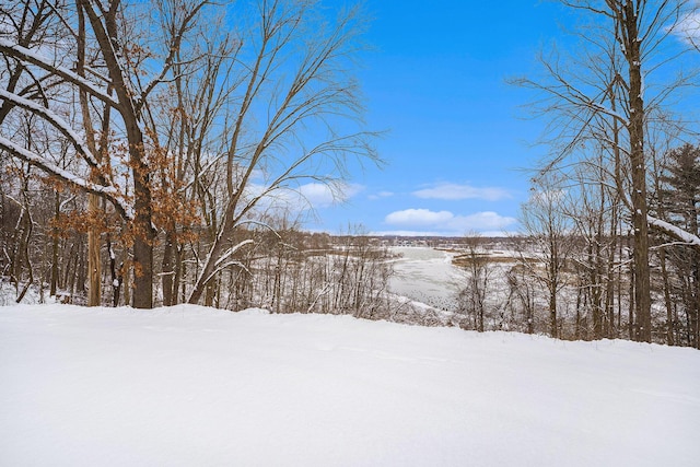 view of yard covered in snow