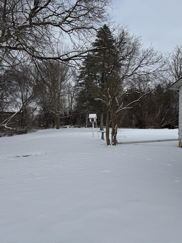 view of snowy yard