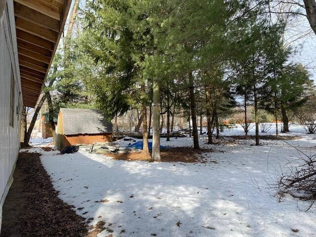 yard covered in snow with a shed