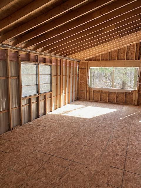 miscellaneous room featuring vaulted ceiling