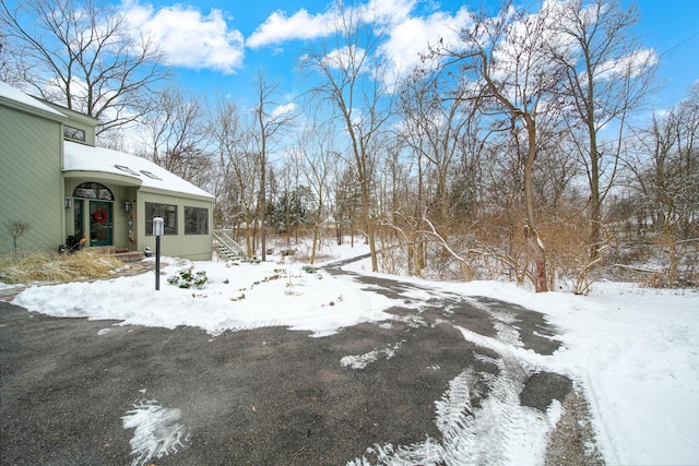 view of yard covered in snow