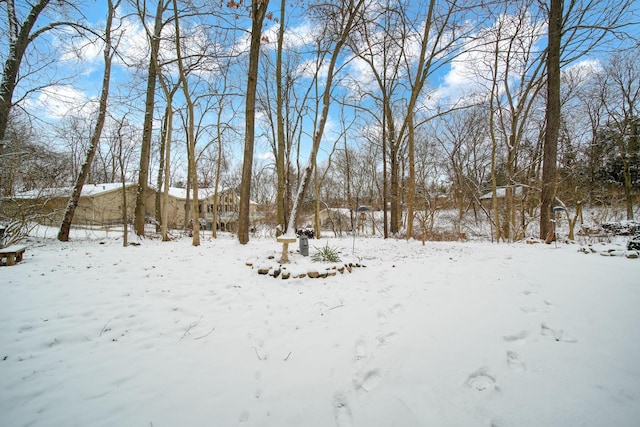 view of snowy yard