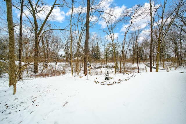 view of yard layered in snow