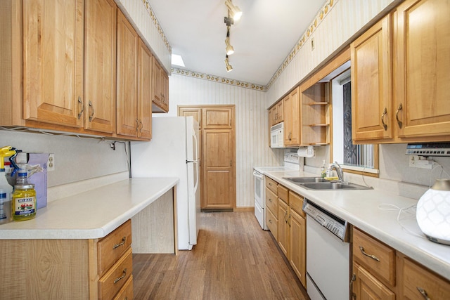 kitchen with dark hardwood / wood-style flooring, sink, and white appliances