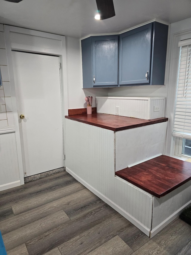 kitchen featuring blue cabinetry and dark hardwood / wood-style flooring