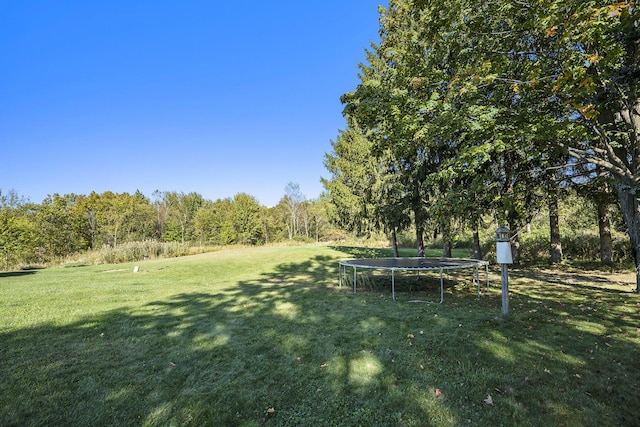 view of yard featuring a trampoline