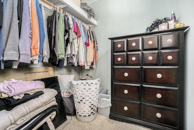 spacious closet with light colored carpet