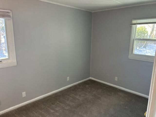 carpeted spare room with crown molding