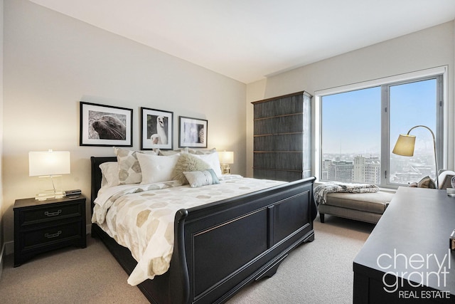 view of carpeted bedroom