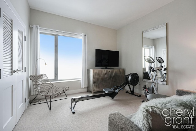 workout room featuring light colored carpet