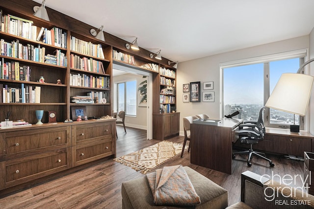 office featuring dark hardwood / wood-style flooring