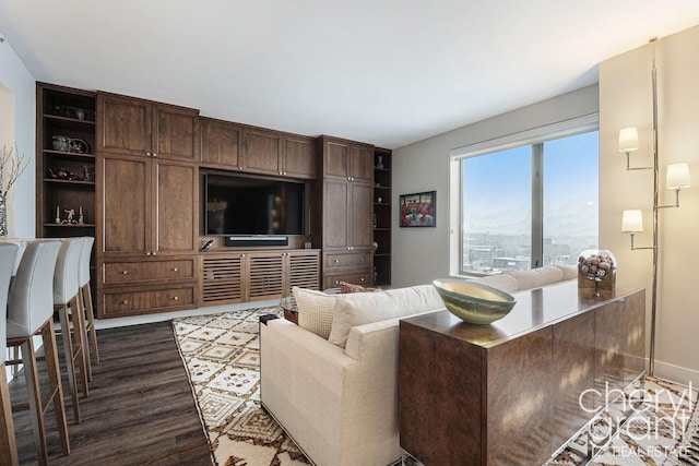 living room featuring dark hardwood / wood-style floors