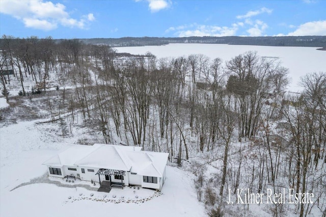 view of snowy aerial view