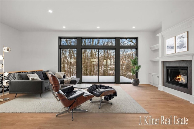 living room featuring light hardwood / wood-style flooring