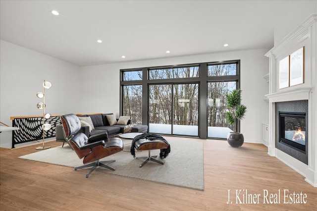 living room with light hardwood / wood-style flooring