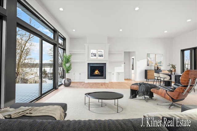 living room featuring hardwood / wood-style floors