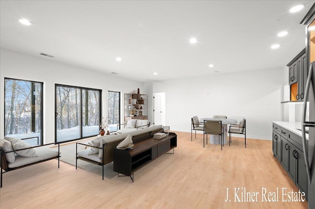 living room featuring light hardwood / wood-style flooring