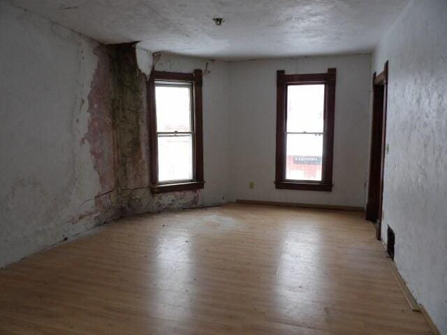 empty room featuring light hardwood / wood-style flooring