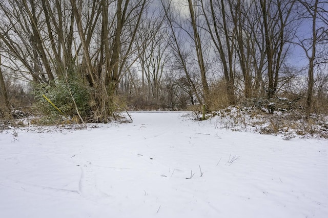 view of yard layered in snow