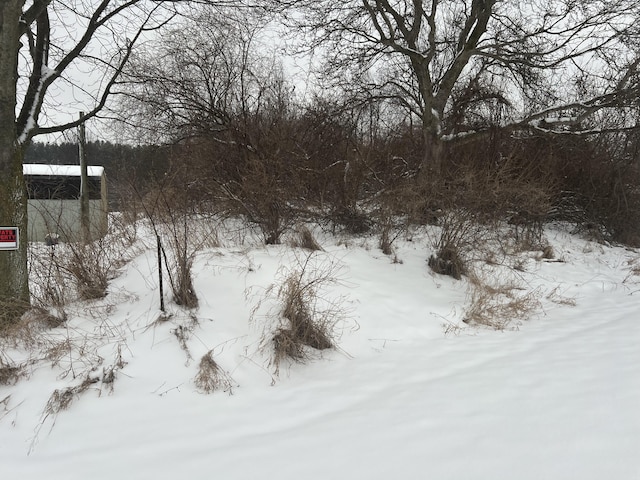 Listing photo 3 for LOT108 Stella St, Custer MI 49405