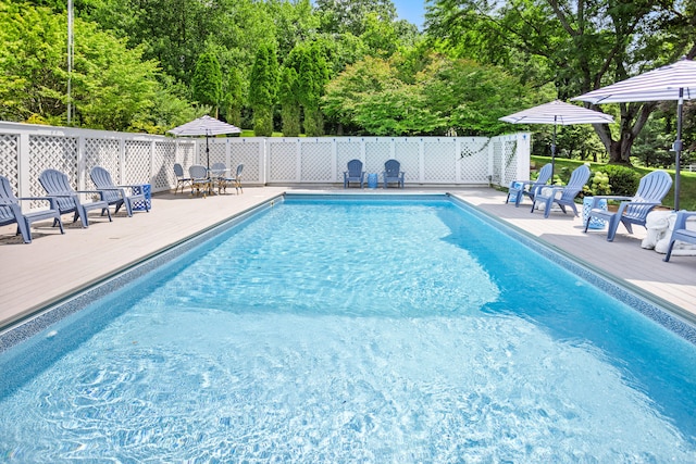 view of swimming pool