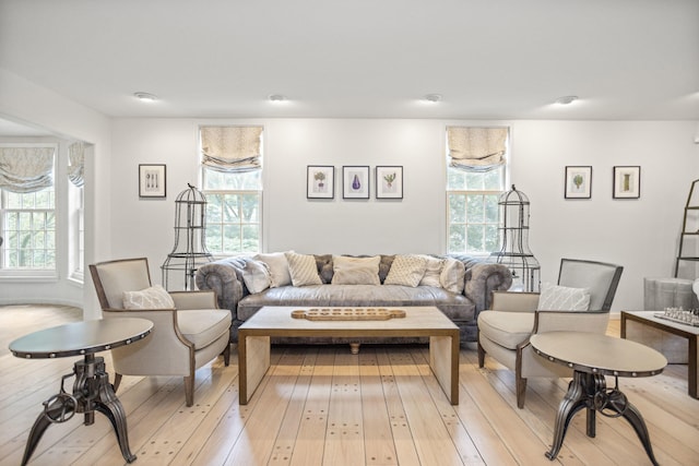 living room featuring light hardwood / wood-style floors