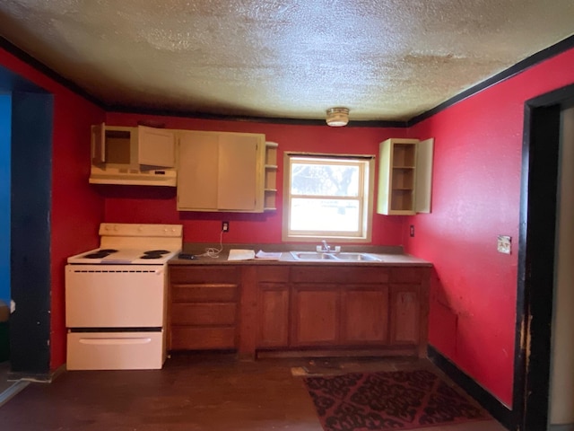 kitchen with a textured ceiling, white range with electric stovetop, and sink