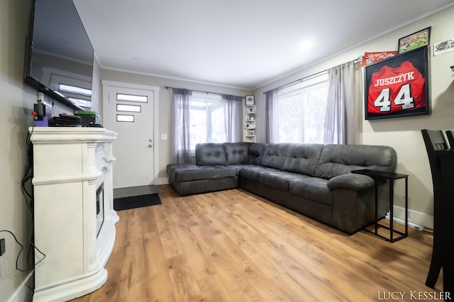 living room featuring crown molding and hardwood / wood-style flooring