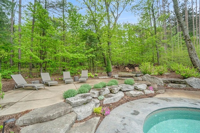 view of pool featuring a patio