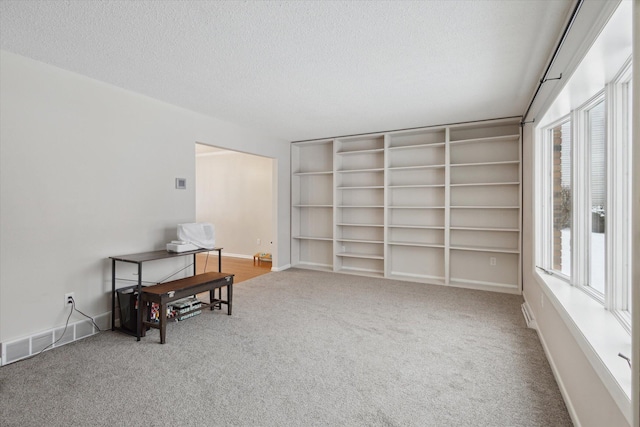 interior space with carpet flooring and a textured ceiling