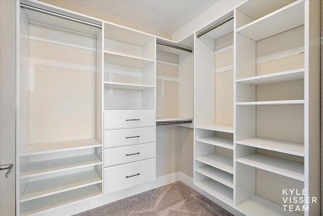 walk in closet featuring carpet floors