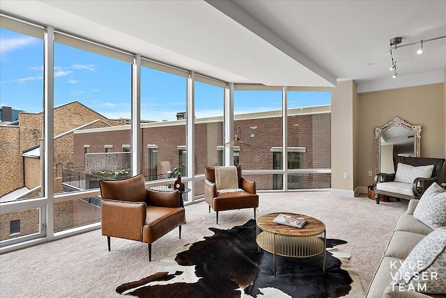 sunroom featuring rail lighting