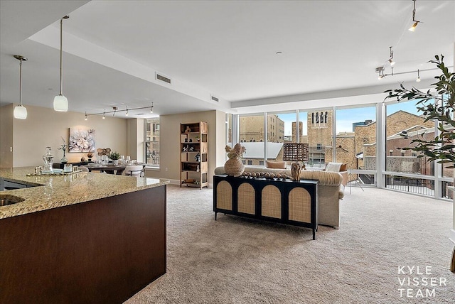 view of carpeted living room