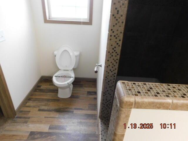 bathroom with toilet and wood-type flooring