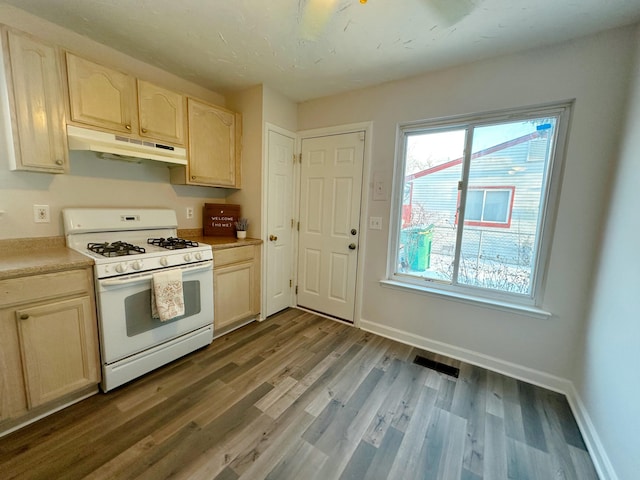 kitchen featuring light brown cabinetry, gas range gas stove, and wood-type flooring