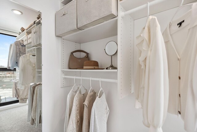 walk in closet featuring carpet floors